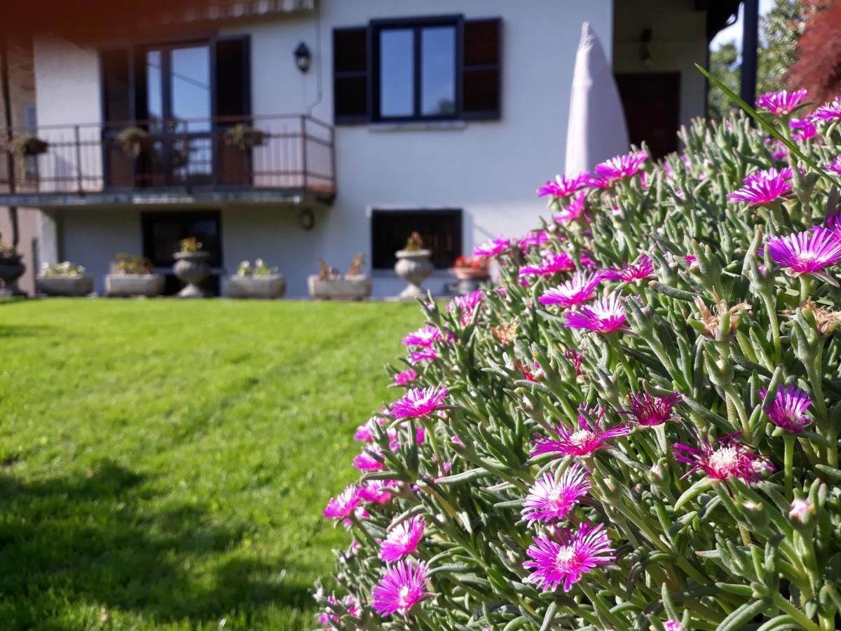 Villa Giardino Дервио Экстерьер фото